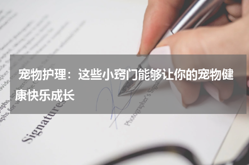 宠物护理:这些小窍门能够让你的宠物健康快乐成长