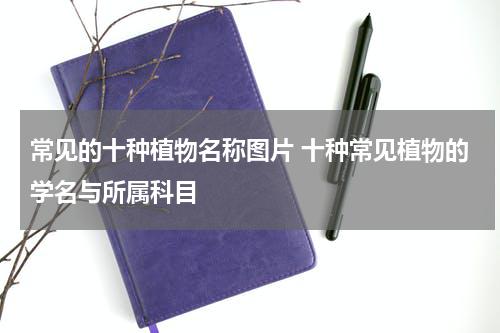 常见的十种植物名称图片 十种常见植物的学名与所属科目
