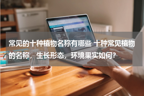 常见的十种植物名称有哪些 十种常见植物的名称,生长形态,环境果实如何?