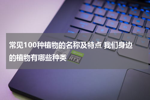 常见100种植物的名称及特点 我们身边的植物有哪些种类