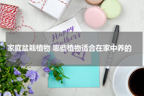 家庭盆栽植物 哪些植物适合在家中养的