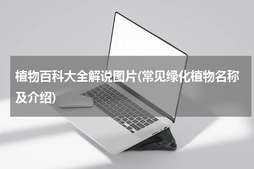 植物百科大全解说图片(常见绿化植物名称及介绍)