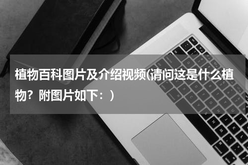 植物百科图片及介绍视频(请问这是什么植物?附图片如下:)