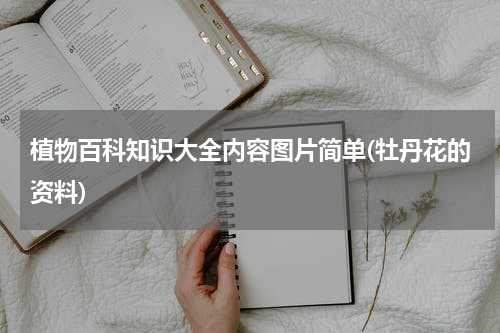 植物百科知识大全内容图片简单(牡丹花的资料)