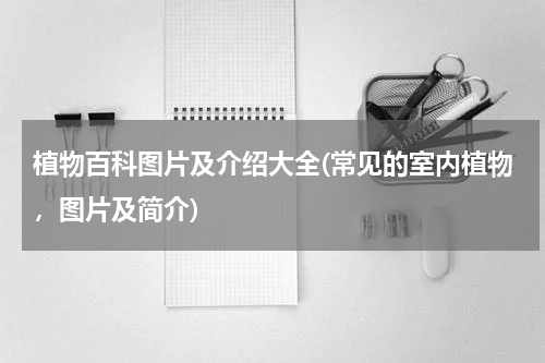 植物百科图片及介绍大全(常见的室内植物,图片及简介)
