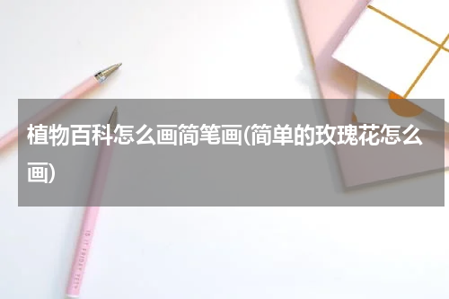 植物百科怎么画简笔画(简单的玫瑰花怎么画)